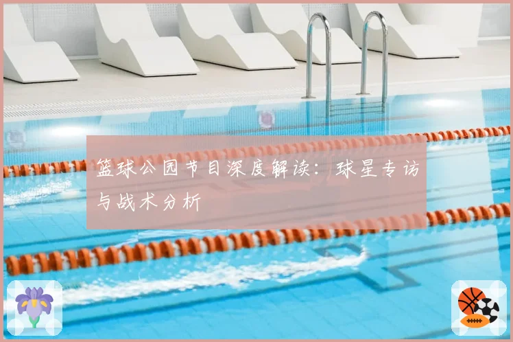 篮球公园节目深度解读：球星专访与战术分析