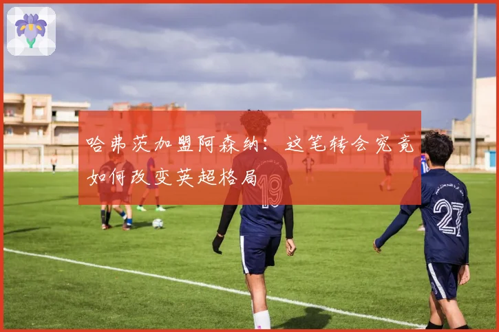 哈弗茨加盟阿森纳：这笔转会究竟如何改变英超格局