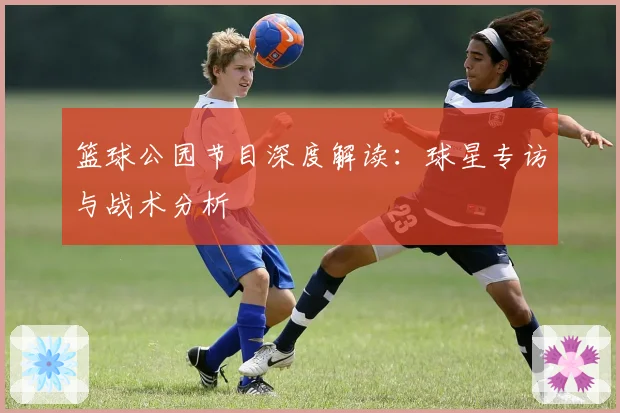 篮球公园节目深度解读：球星专访与战术分析